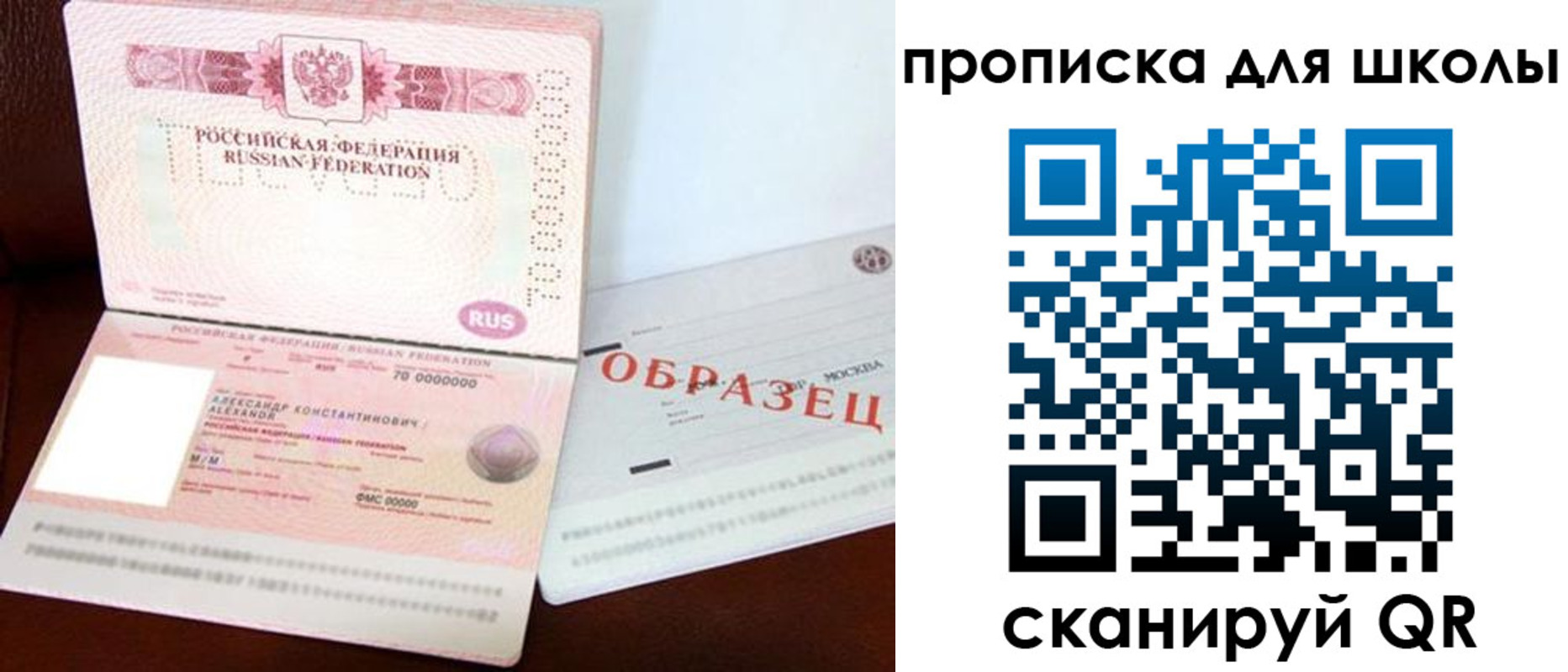 прописка для школы в Сальске